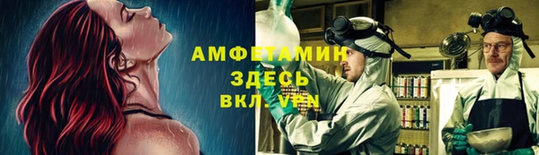 дмт Алзамай