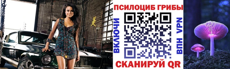 продажа наркотиков  Усть-Лабинск  Псилоцибиновые грибы MAGIC MUSHROOMS 